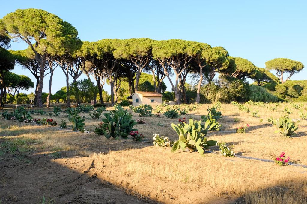 Vonkajšia záhrada v ubytovaní Residence La Canova II
