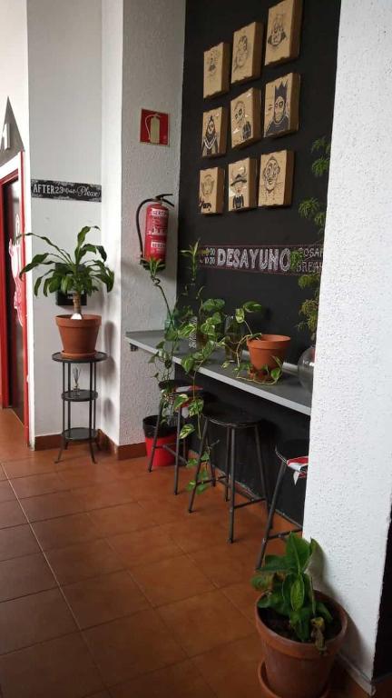 Fotografie z fotogalerie ubytování Bilbao Akelarre Hostel v destinaci Bilbao
