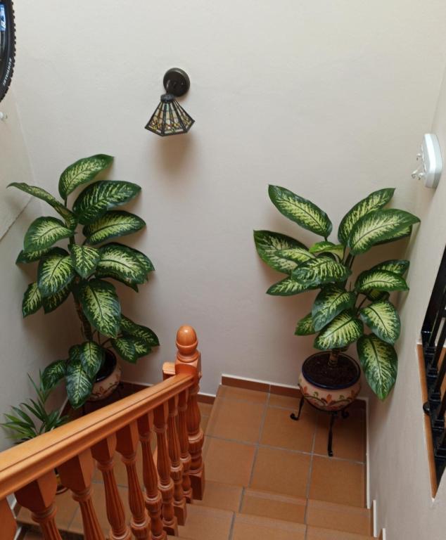 Casa Rural Abril - 8