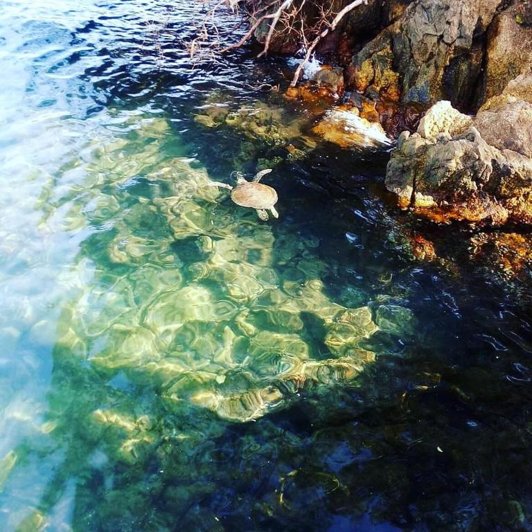  Triplex Ubatuba Itagua