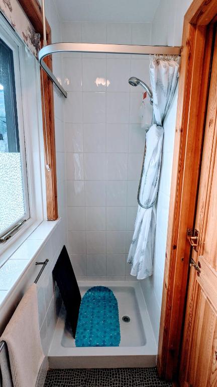 Koupelna v ubytování An Carraig Log Cabin