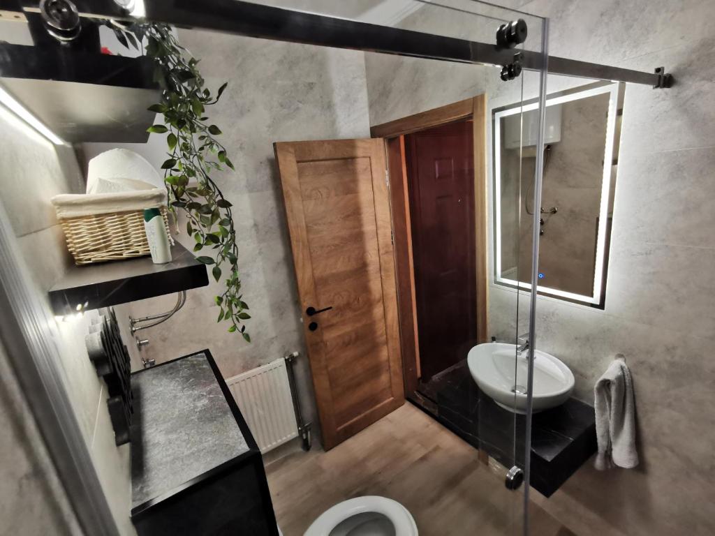 uma casa de banho com um chuveiro, um WC e um lavatório. em Centar Stan na dan sa besplatnim parkingom em Novi Sad