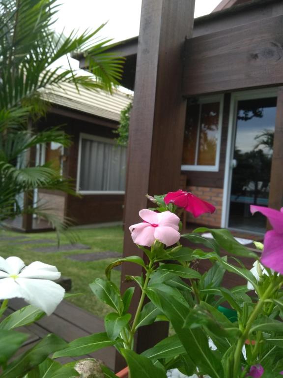  Villa Suhr Cabanas