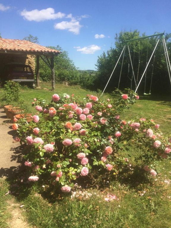 Zahrada ubytování La Maison de Louis