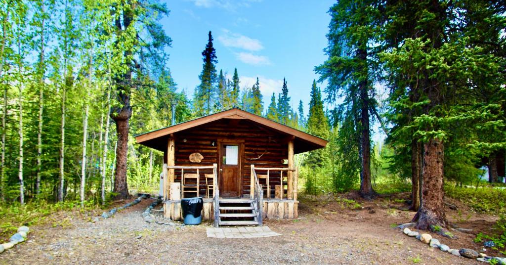 a small wooden cabin in the middle of a forest at Carlo Creek Cabins in McKinley Park