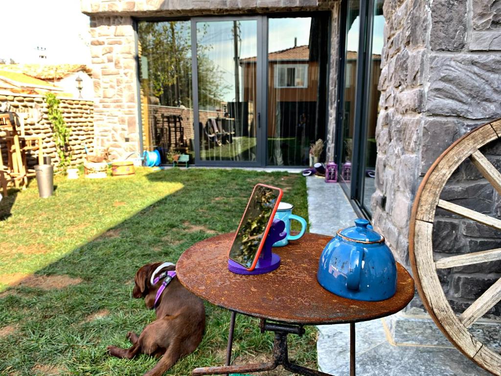 een hond op het gras naast een tafel bij HemDem Alçıtepe in Canakkale