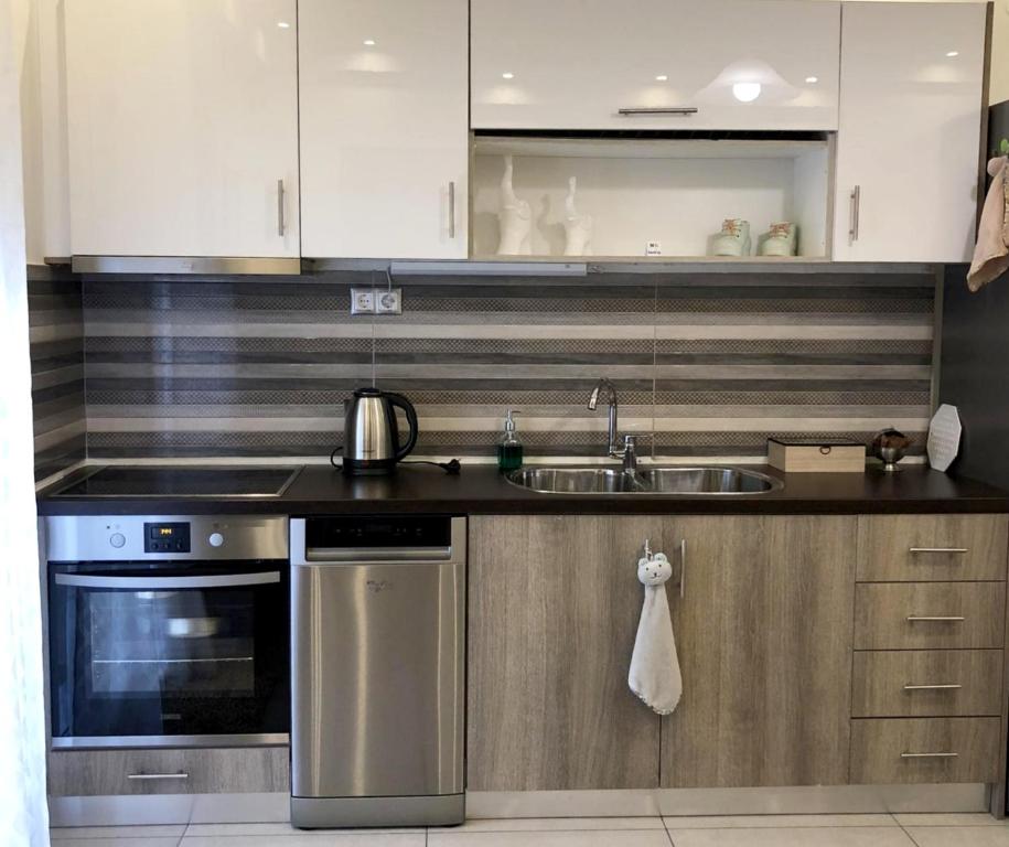 a kitchen with a sink and a stove at Xenia_Apartments A6 in Kozani