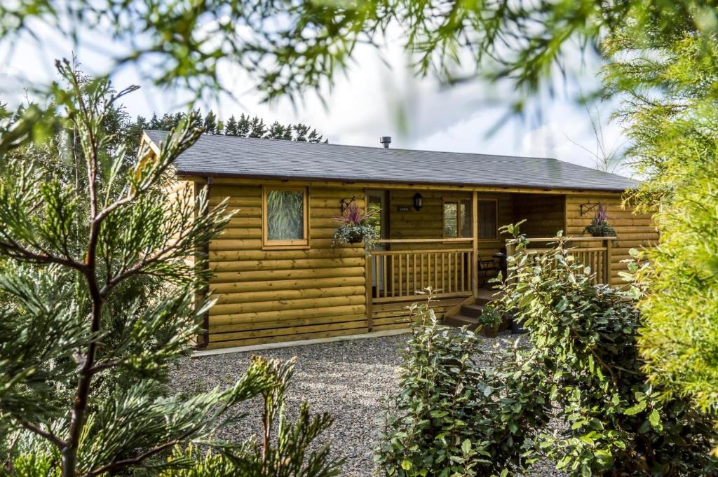 a log cabin with a porch and trees at Fern Lodge - 2 Bedroom Log Cabin - Saint Florence - Tenby in Saint Florence