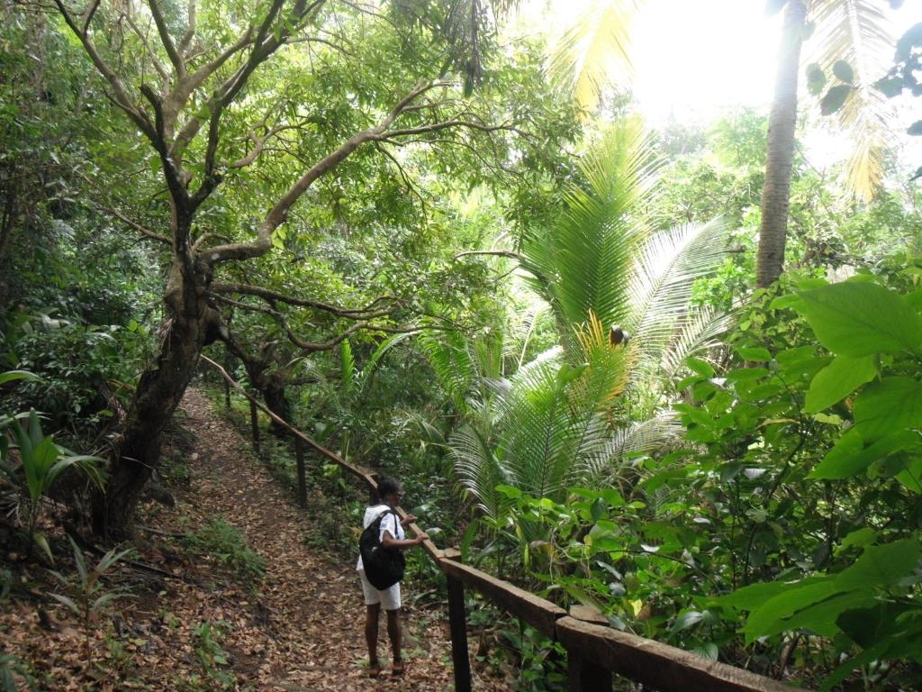 Zahrada ubytování Classique International in Dominica
