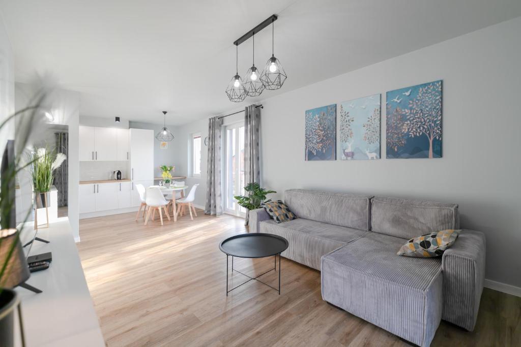 Posezení v ubytování Apartament Skandynawski z balkonem - Dream Apart