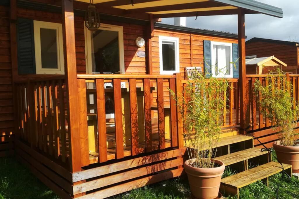 une cabine avec une terrasse en bois et deux plantes en pot dans l'établissement Mobil-Home 6 personnes à Munster en Alsace, à Munster