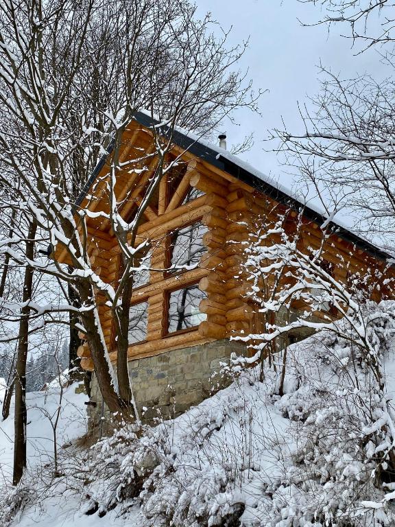 Chalet PidStromom - Two-Bedroom Chalet