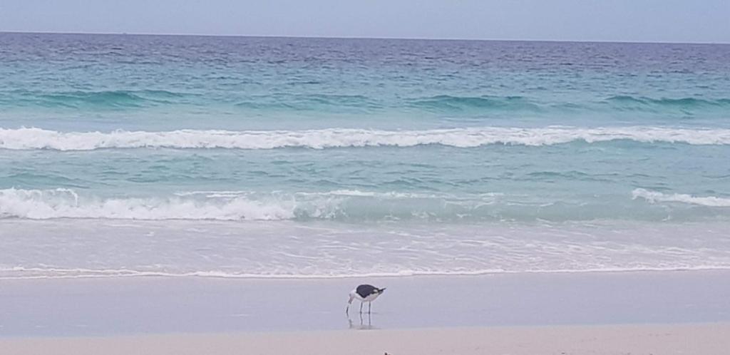  Casa à beira-mar com lazer total na Praia das Dunas