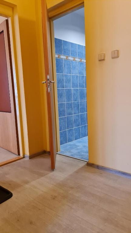Zdjęcie z galerii obiektu Pension Elektra w Mariańskich Łaźniach