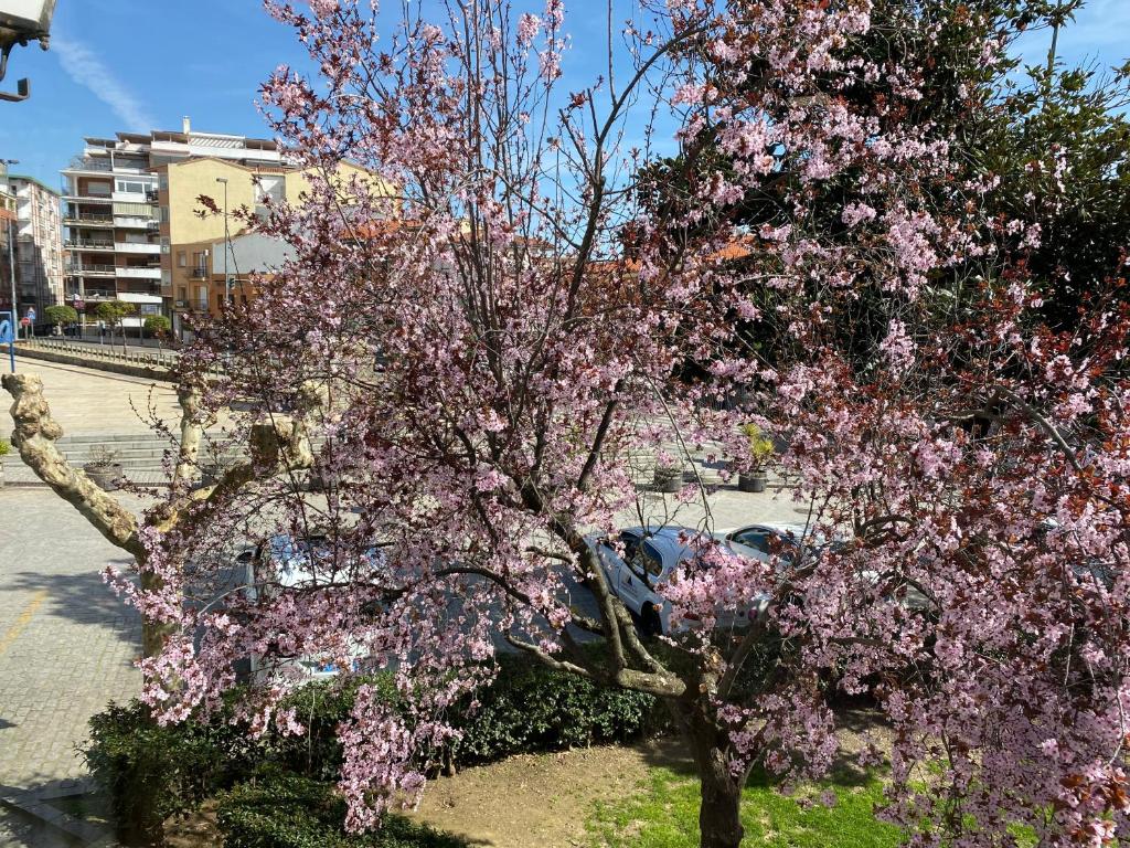 Fotografie z fotogalerie ubytování Apartamento Dacosta v destinaci Plasencia