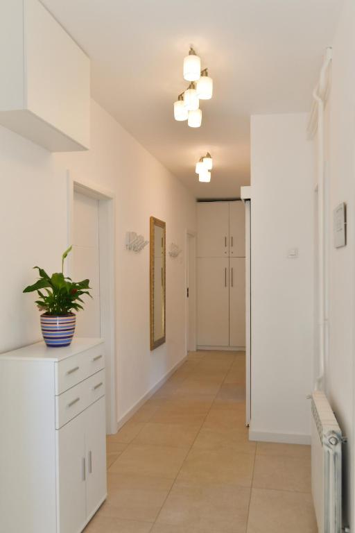 Kuchyň nebo kuchyňský kout v ubytování Apartment Amelie