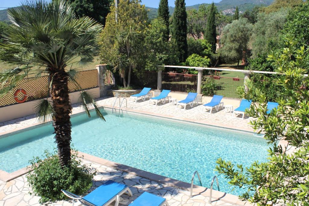 - une piscine avec des chaises longues et un palmier dans l'établissement Domaine Le Clos des Oliviers, à Sorbo-Ocagnano