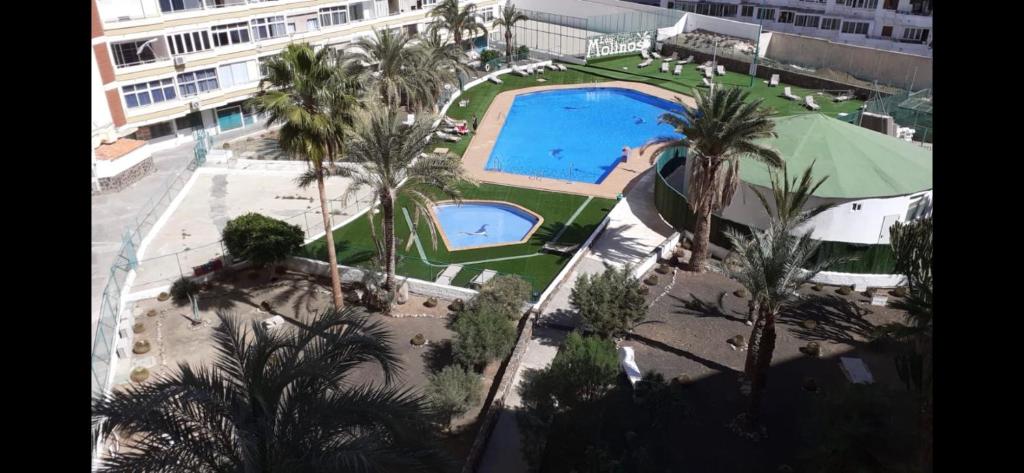 einen Blick über das Resort mit Pool und Palmen in der Unterkunft residence los molinos in Maspalomas