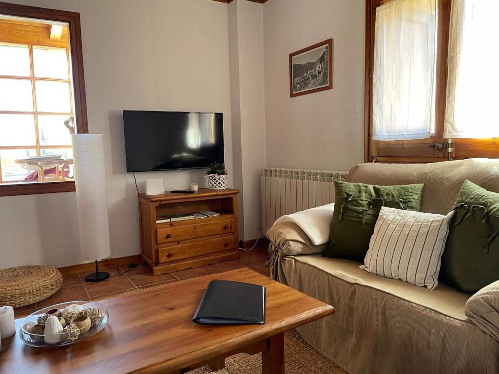 TV a/nebo společenská místnost v ubytování Cal Masuret