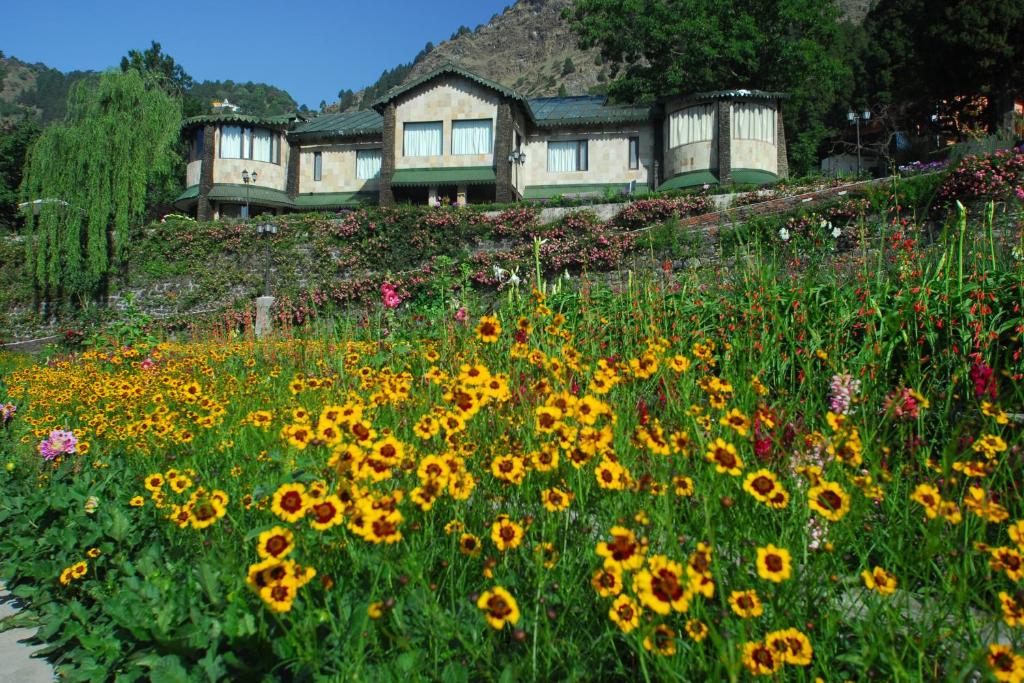 a field of flowers in front of a building at Shervani Hilltop Resort in Nainital
