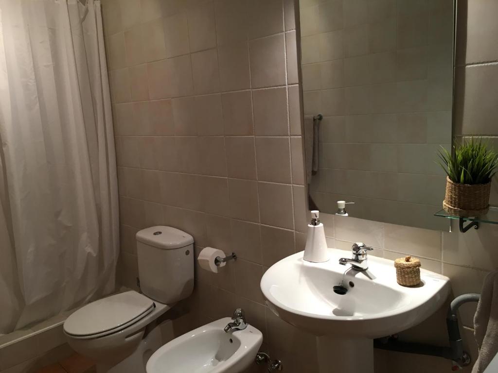 Koupelna v ubytování Apartaments Cal Borda