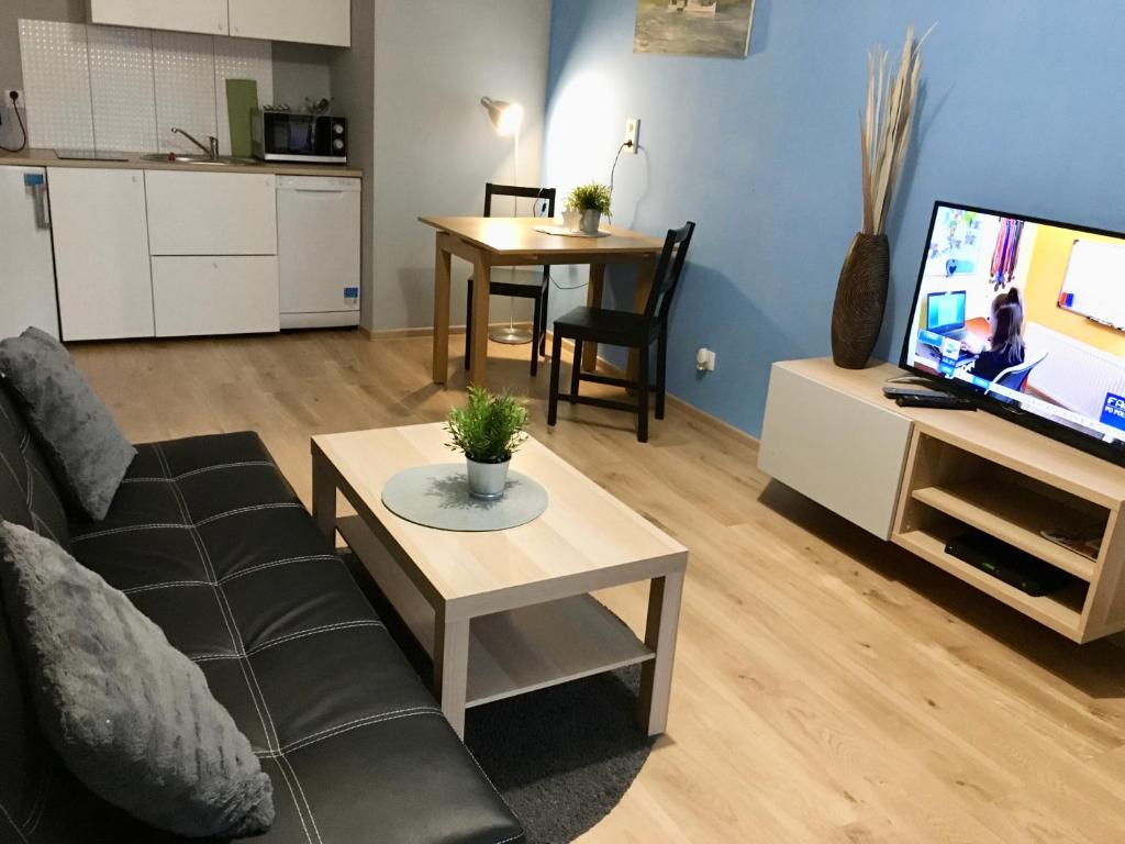een woonkamer met een bank, een tv en een tafel bij Holdek Apartamenty Francuska in Katowice