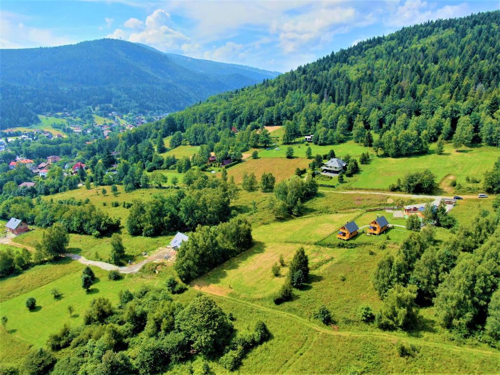 Príroda v okolí horskej chaty