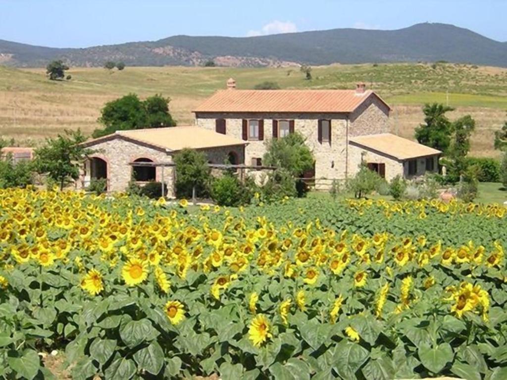 a field of sunflowers in front of a house at Affitti Brevi Toscana - Ospitalità in Toscana in Fonteblanda