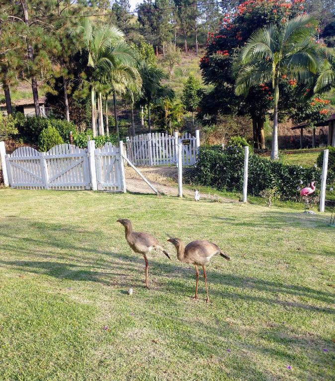  Casa Amarela nas montanhas