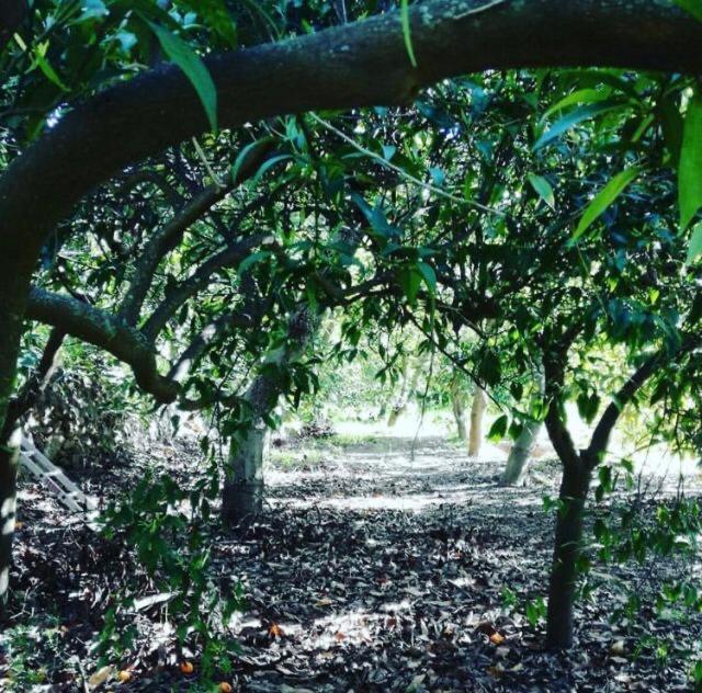 El Capricho de Almadan, Ojén – Bijgewerkte prijzen 2022