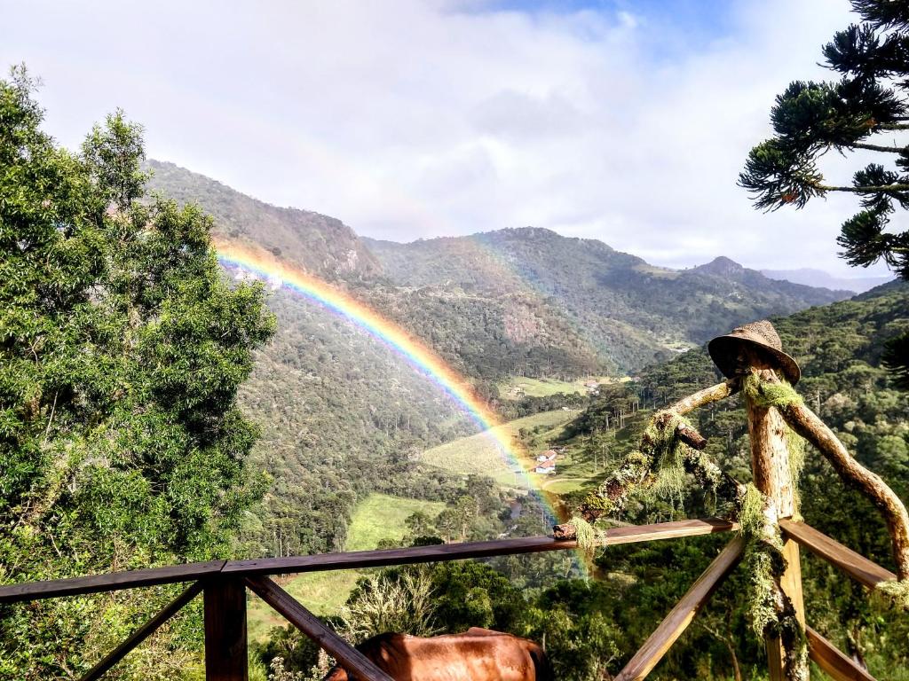  Chalés das Araucárias