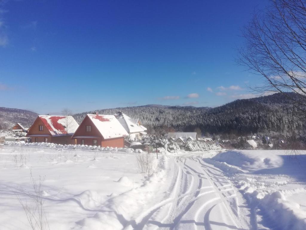a snow covered field with a house in the background at Domki pod Honem w Cisnej in Cisna