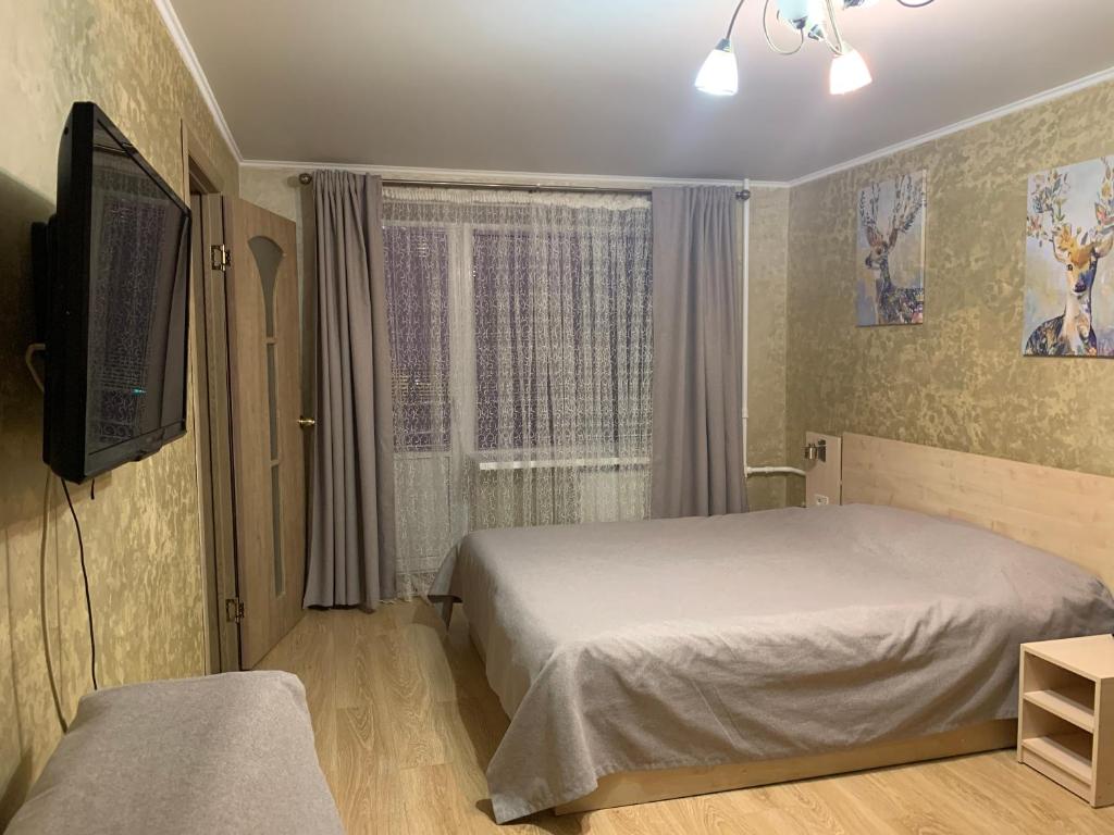 マグニトゴルスクにあるApartment na Karla Marksa 62のベッドルーム(ベッド1台、テレビ、窓付)
