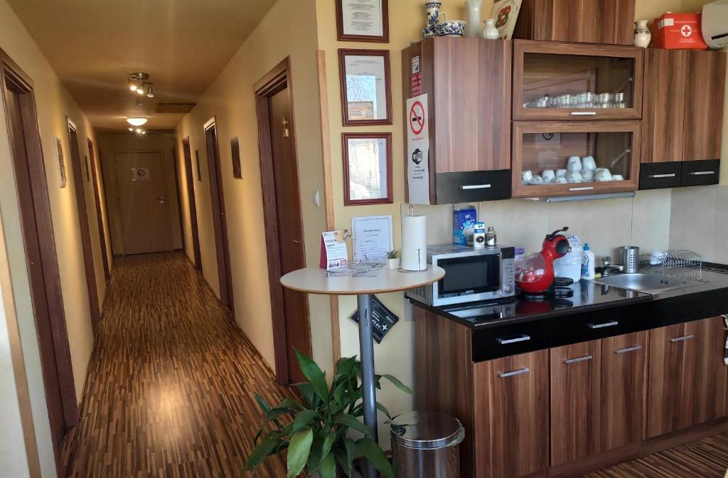 Kuchyň nebo kuchyňský kout v ubytování Silver Park Vendégház