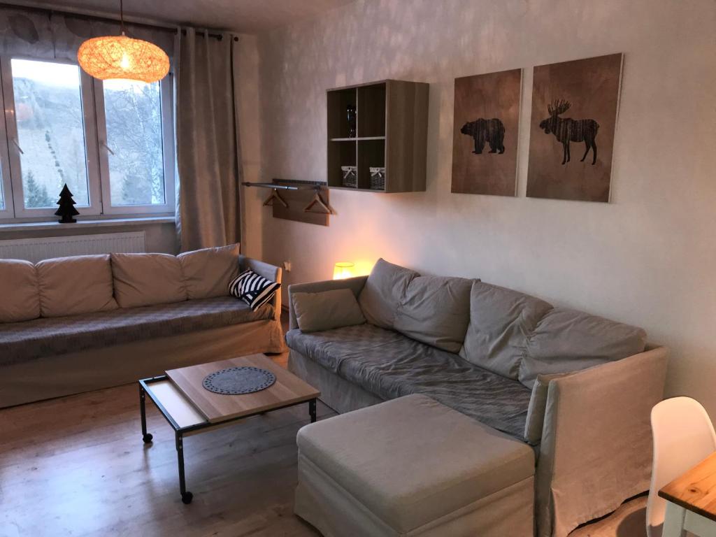 Posezení v ubytování Apartmán Orlické Záhoří
