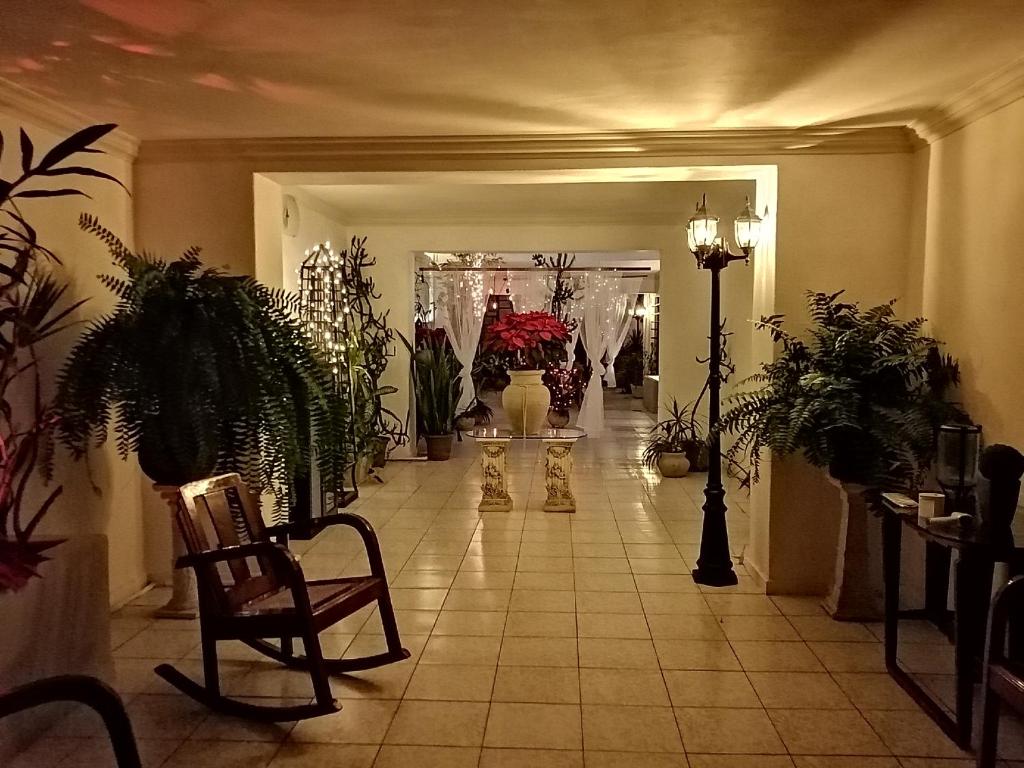 a hallway filled with potted plants in a building at MI CA-SA EN MÉRIDA in Mérida