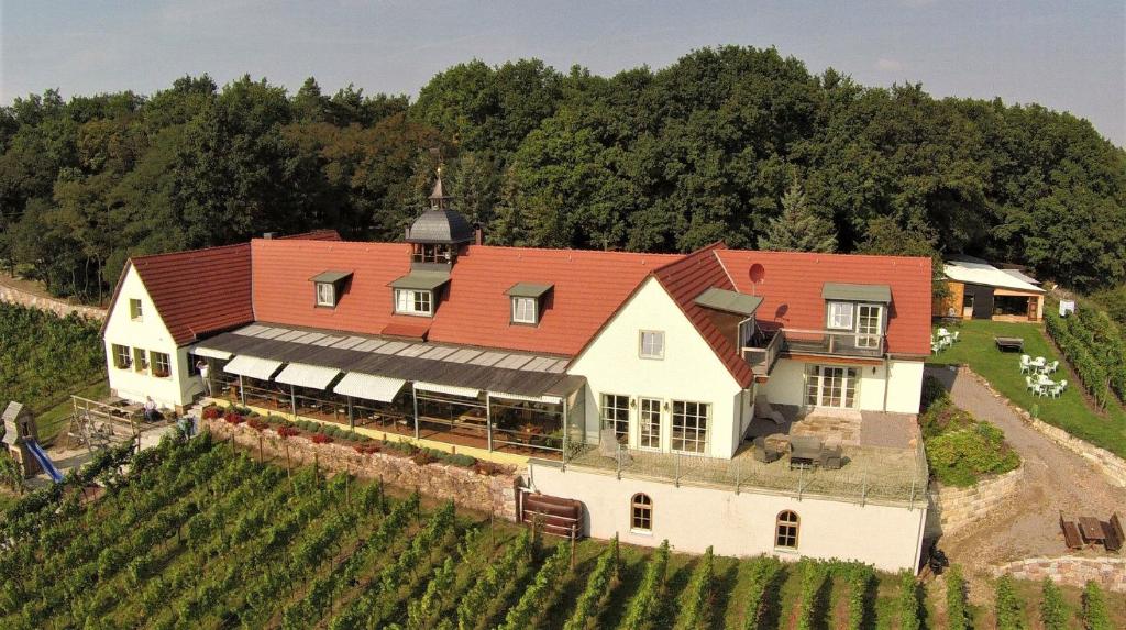 an aerial view of a large house in a vineyard at Pension Bella Vista - Winzerhof Golk in Meißen