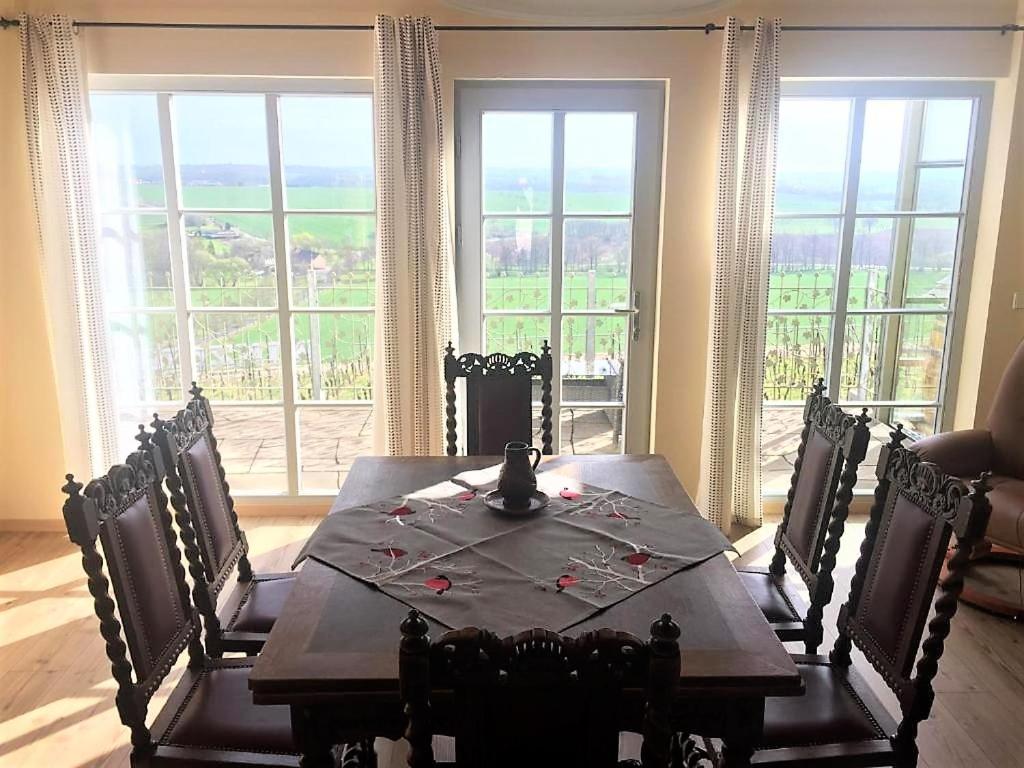 Pension Bella Vista - Winzerhof Golk - 带露台的两卧室公寓