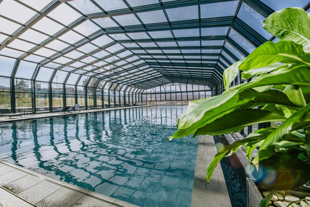 Bazén v ubytování Park Hotel Tsinandali Estate nebo v jeho okolí