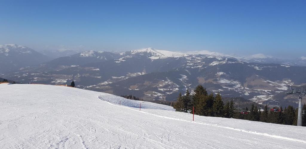 Ferienwohnung Karasek mit Seeblick v zimě