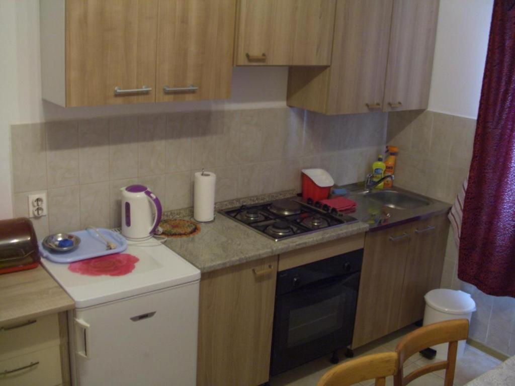 Kuchyňa alebo kuchynka v ubytovaní Guest House Villa Jadera