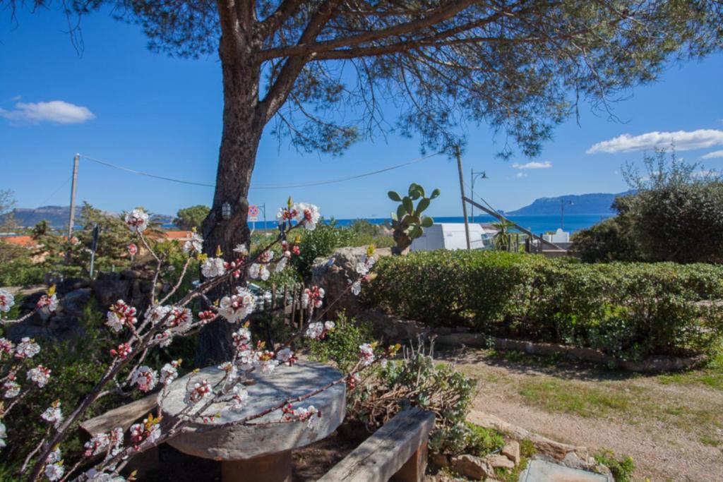 a garden with flowers and a tree at Villa Bados 6 - Klodge in Olbia