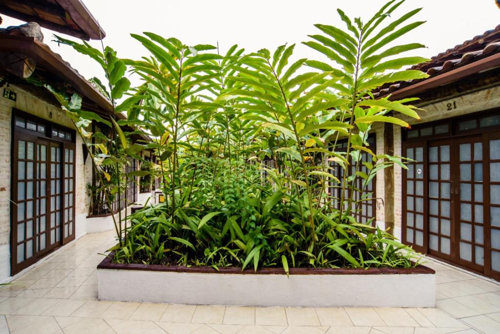  FLAT 21 - O MELHOR CUSTO BENEFÍCIO A 60m DA PRAIA