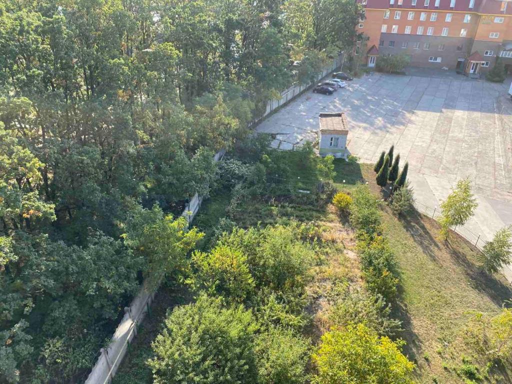 Тиса Економ фото 5