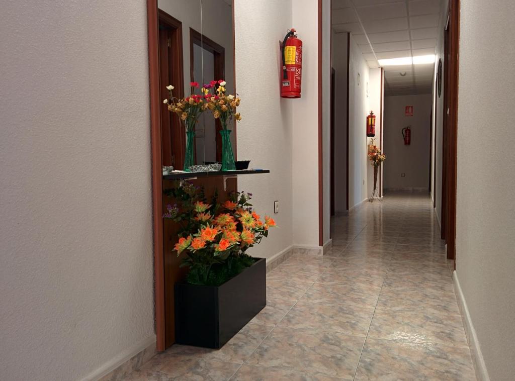 Fotografie z fotogalerie ubytování Pensión Egea II v destinaci Puerto de Mazarrón