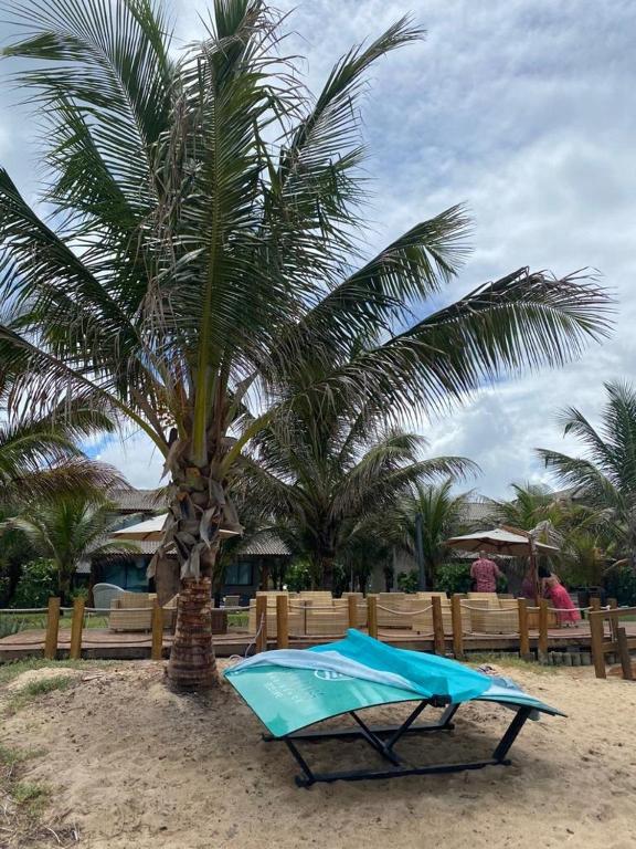 Flat Inteiro: Beach Class Eco Life/Muro Alto