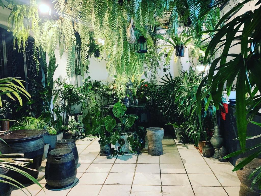Zahrada ubytování Gfeel Hostel