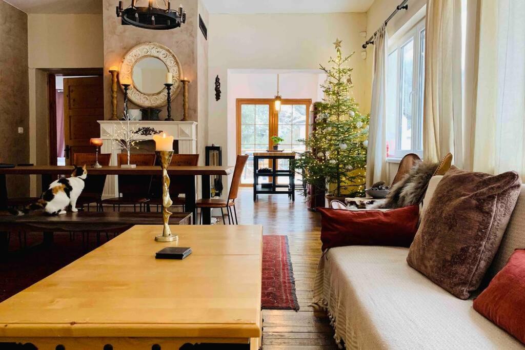 a living room with a couch and a christmas tree at Villa Aquila in Beli Iskar