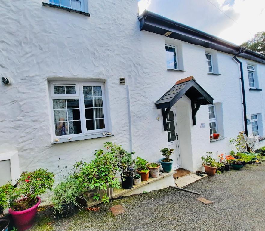 ein weißes Haus mit Topfpflanzen davor in der Unterkunft New for 2021 Welcome to Violet Cottage in Combe Martin