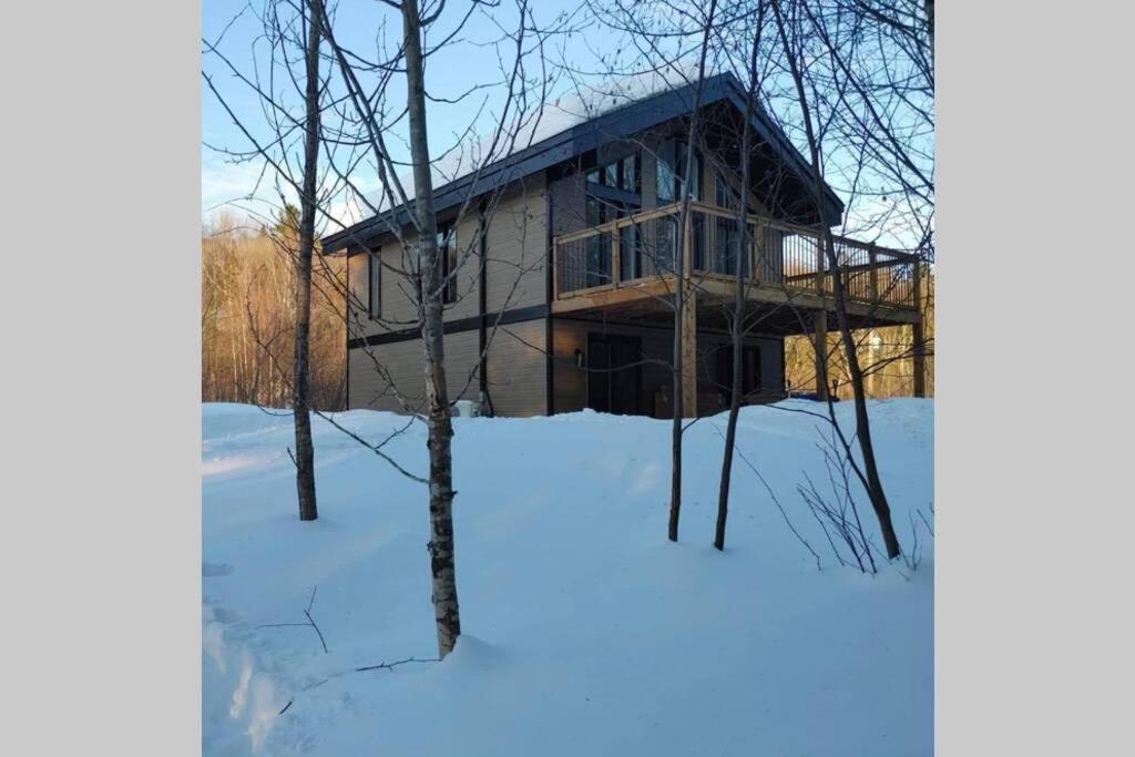 una casa en la nieve con árboles delante en Chalet le Caribou- Chalets Galaxia en Saint-Alphonse-Rodriguez